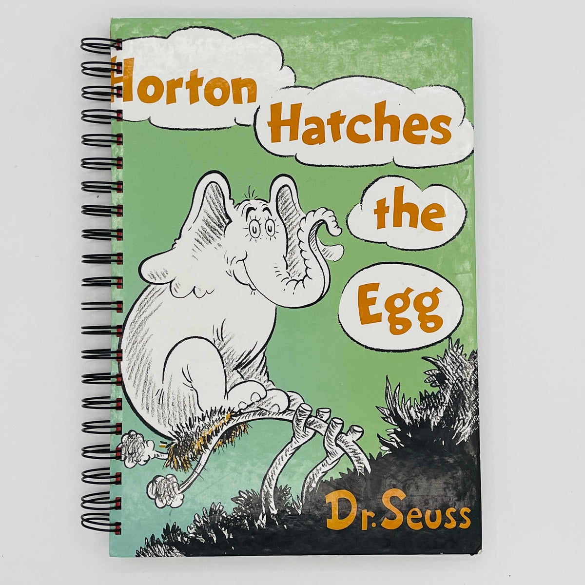 Horton Hatches the Egg – MyLilyPad