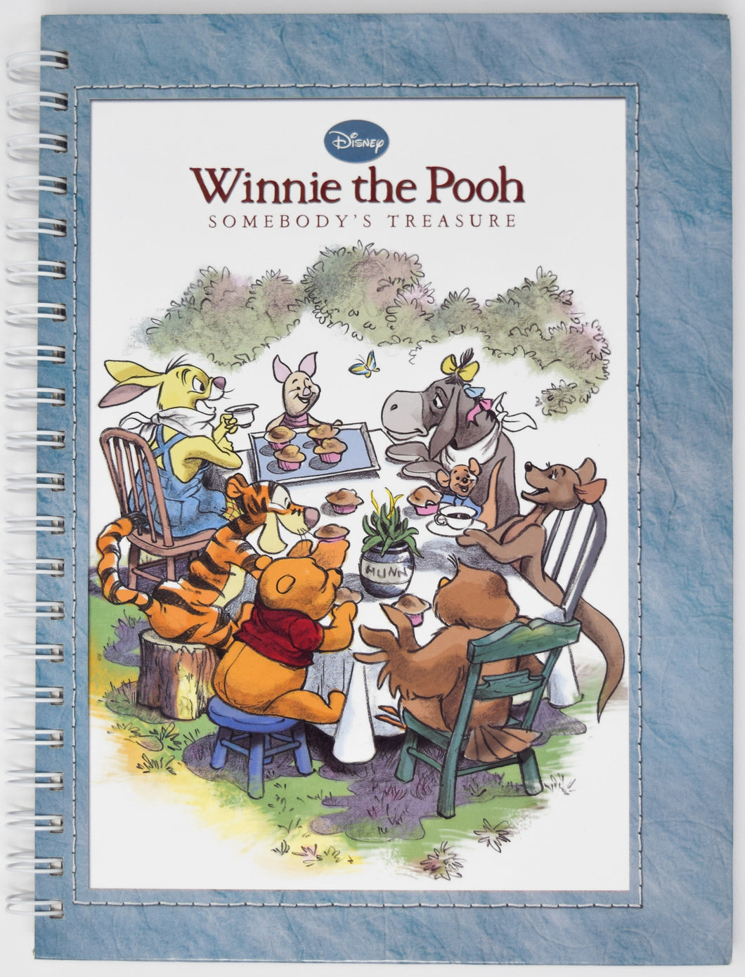 Winnie the Pooh-Somebody's Treasure (L)
