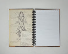 Load image into Gallery viewer, Spiderwick's Field Guide
